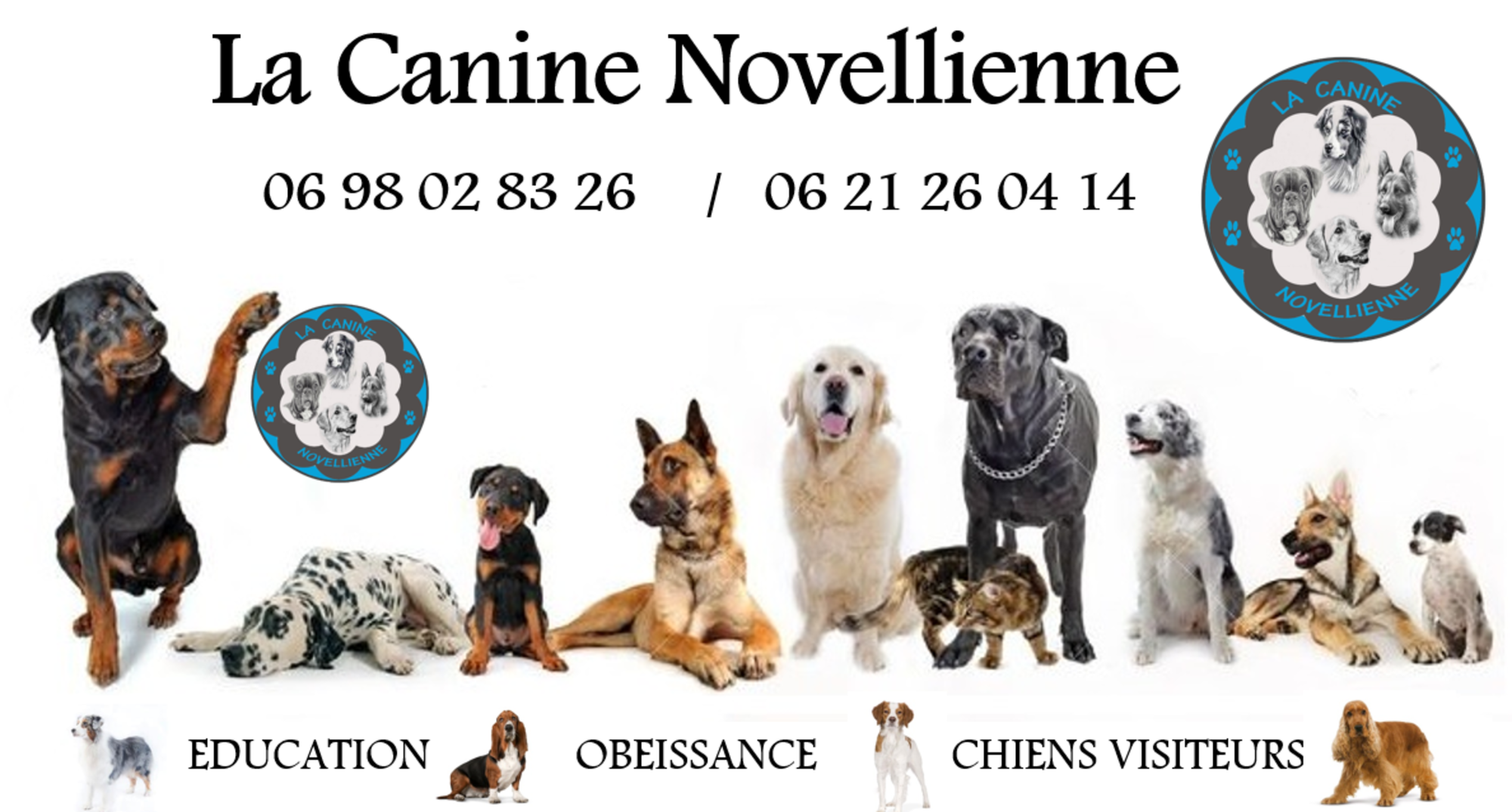 la canine novellienne